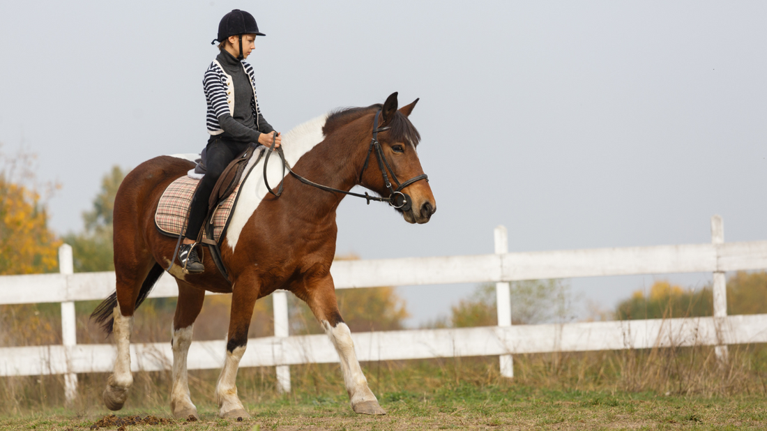 Autumn in the Saddle: Riding Tips for Crisp Days and Frisky Horses