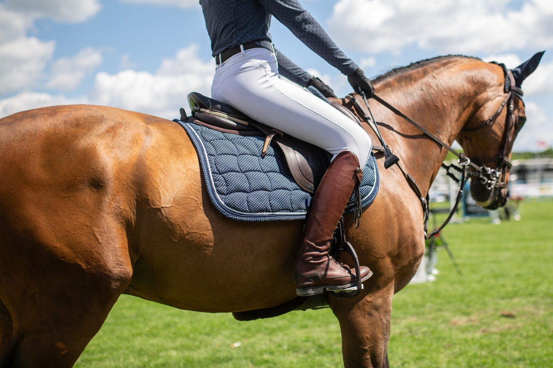 Essential Equestrian Gear Every Rider Needs