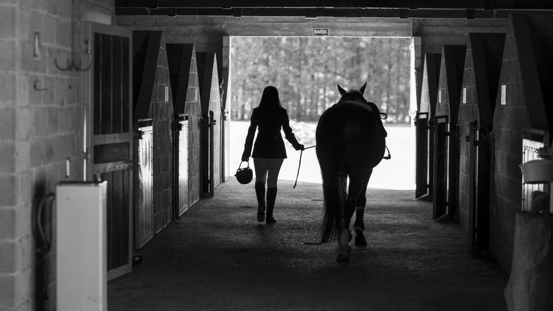Balancing Work, Life, and Riding: Tips for Busy Horse Owners