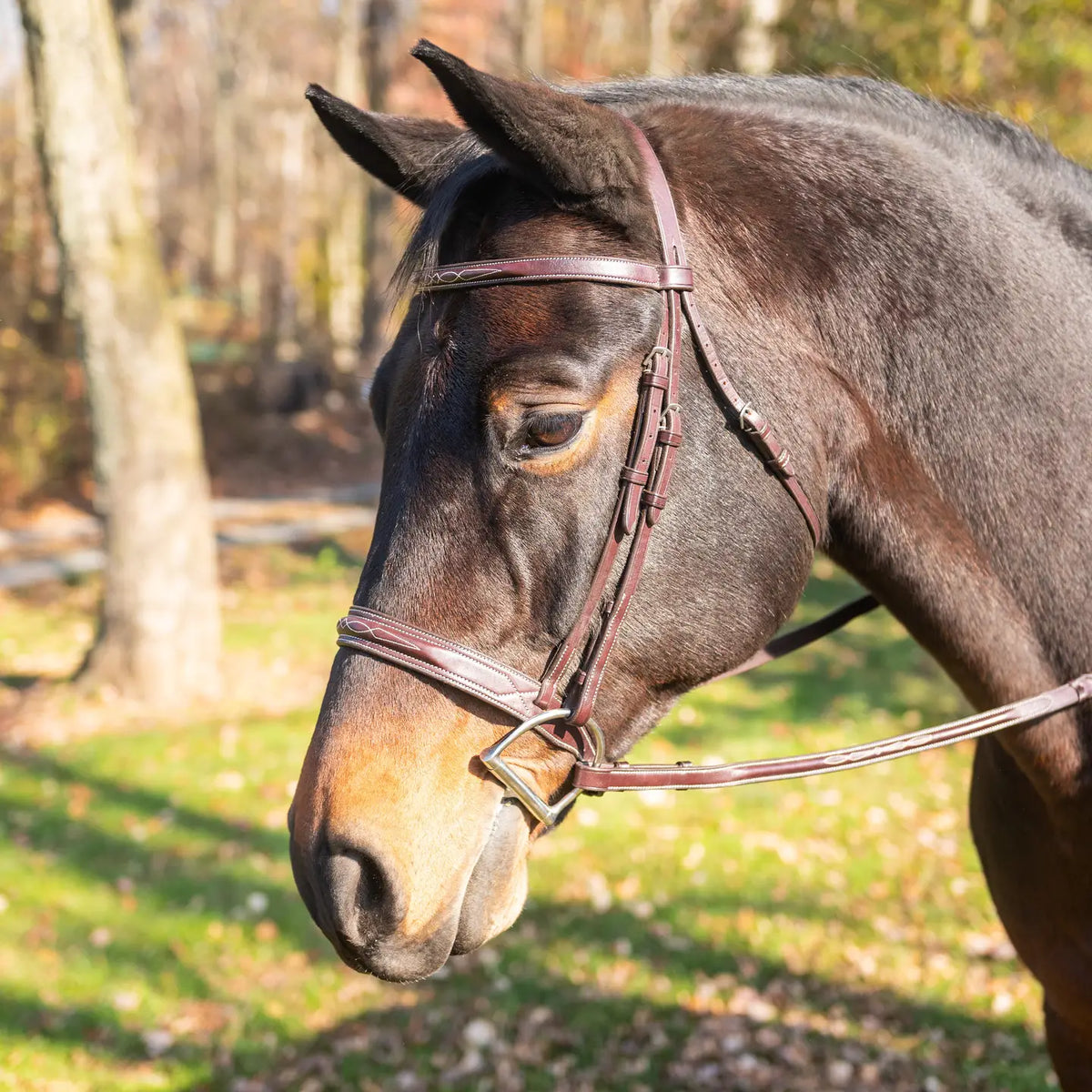 Exselle Elite Flat Raised Fancy Hunter Bridle