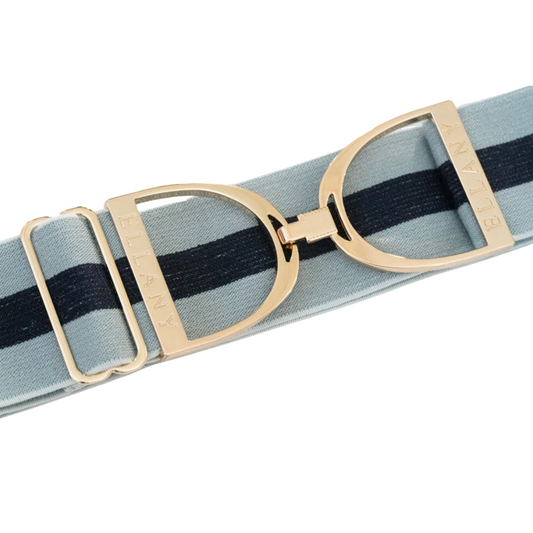 2" Ellany Elastic Belt - Sage Stripes