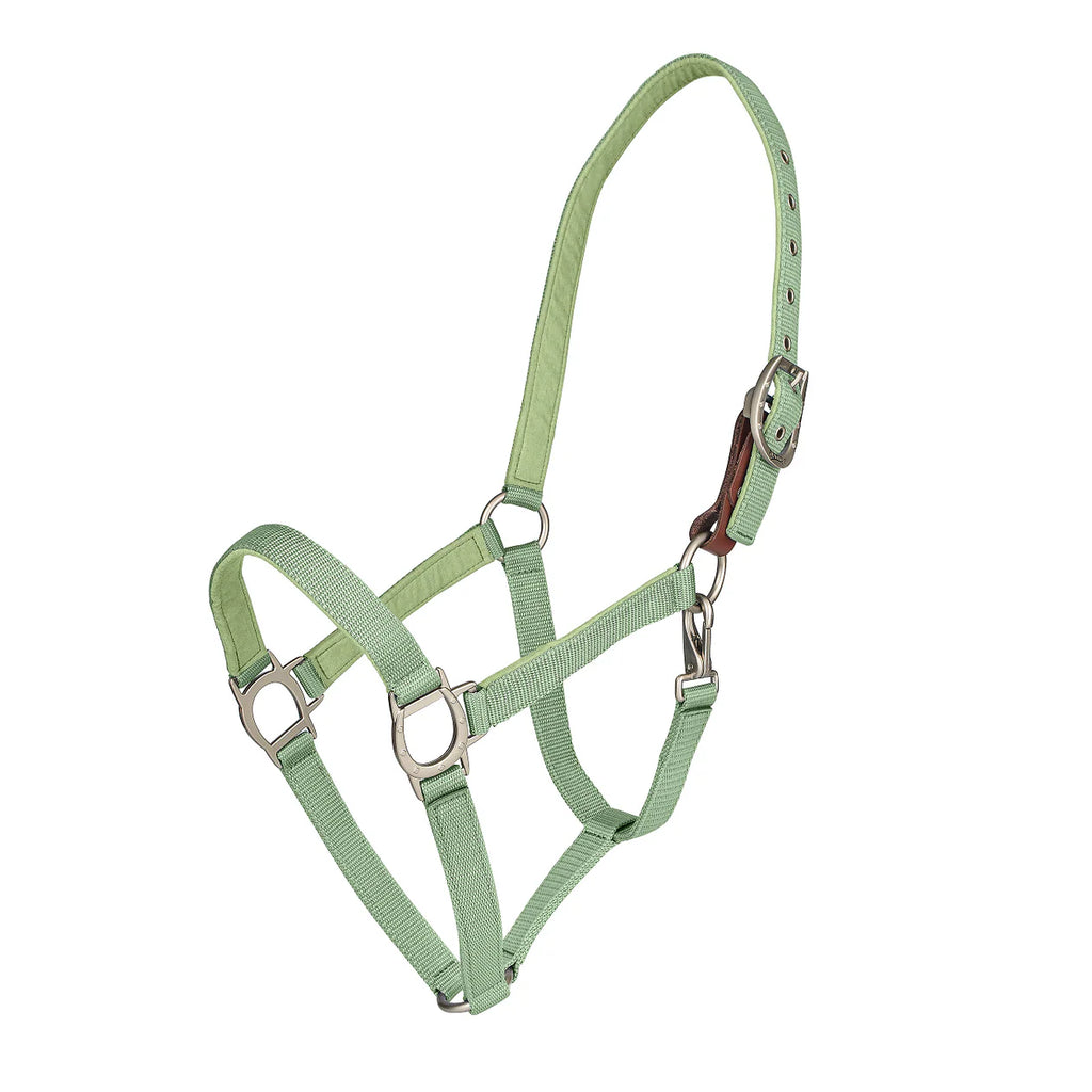 Lucky Breakaway Halter - Sea