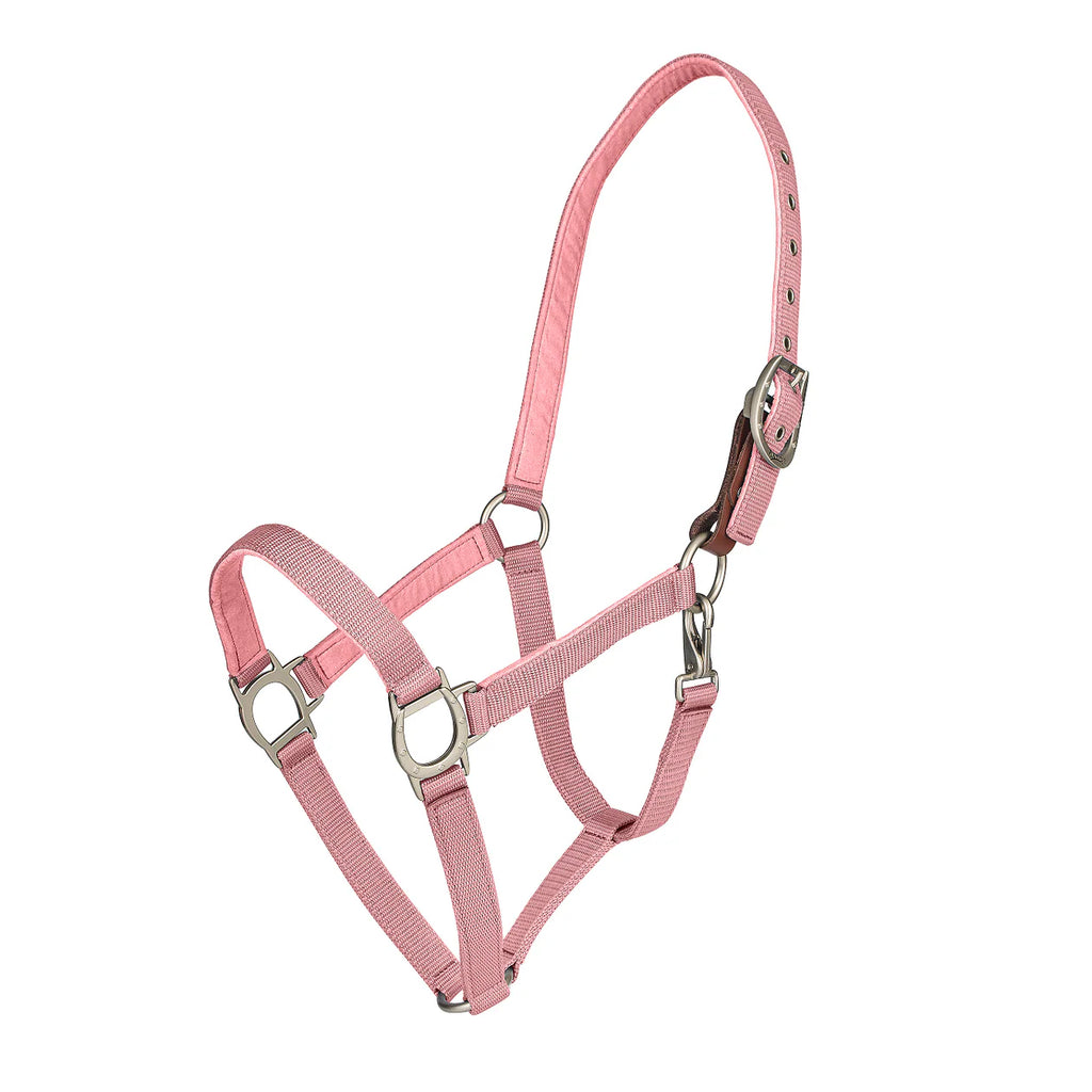 Lucky Breakaway Halter - Sea