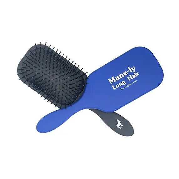 Best Blue Maintenance Brush