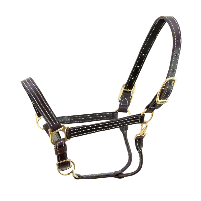 Walsh Kentucky Leather Halter