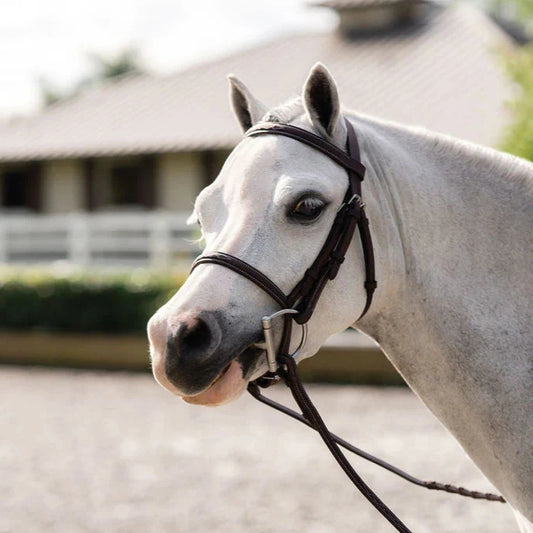 Belle&Bow Farnley Bridle