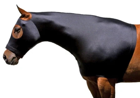 Stretch Hood with Zip