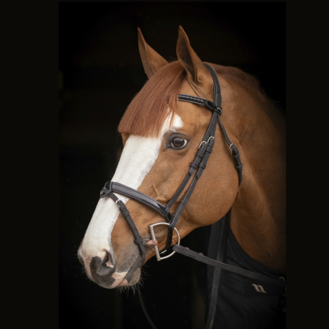 Oxford Bridle - Full