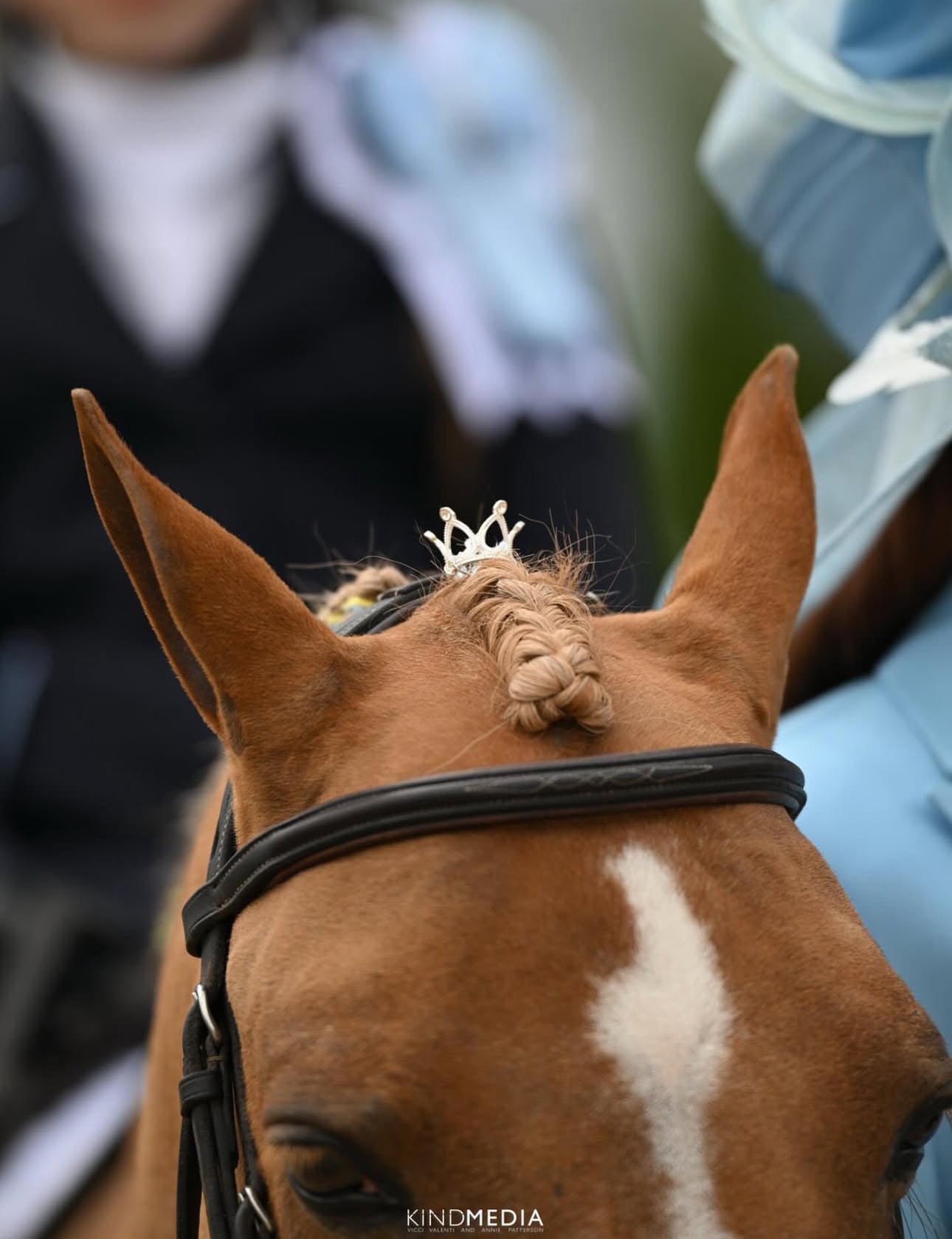 Luxy Forelock Crown