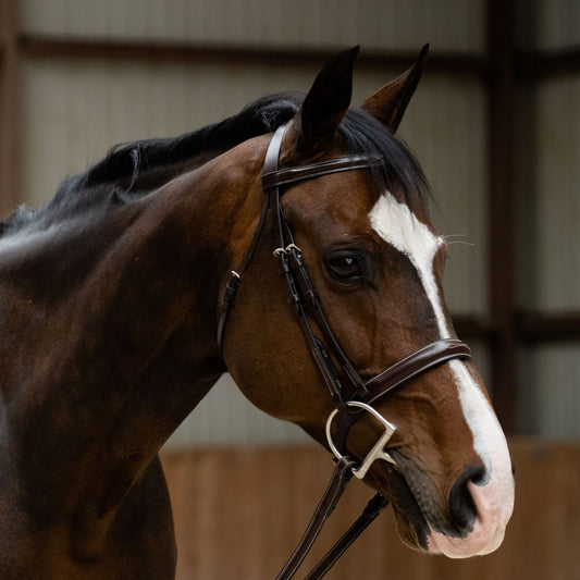 Black Oak "Poppy" Bridle