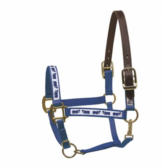 Perri's Ribbon Safety Halter - Royal Blue Hippos