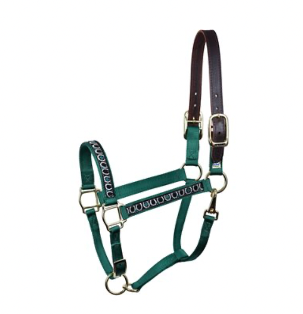 Perri's Ribbon Safety Halter - Green Horse Shoes
