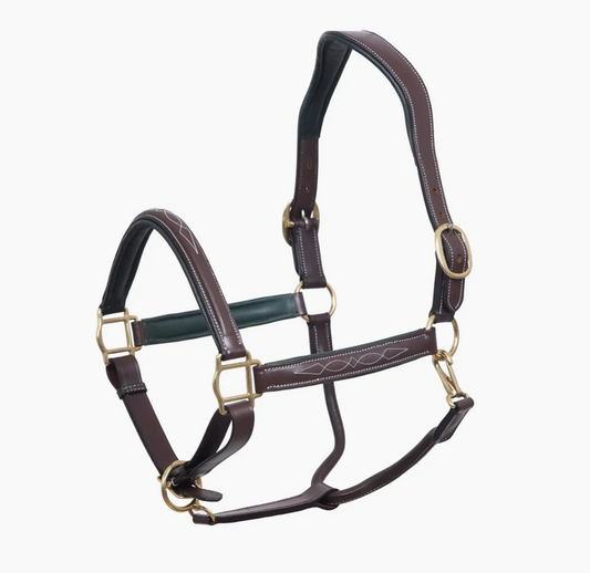 Pup & Pony Belmont Anatomical Halter - Havana/Green