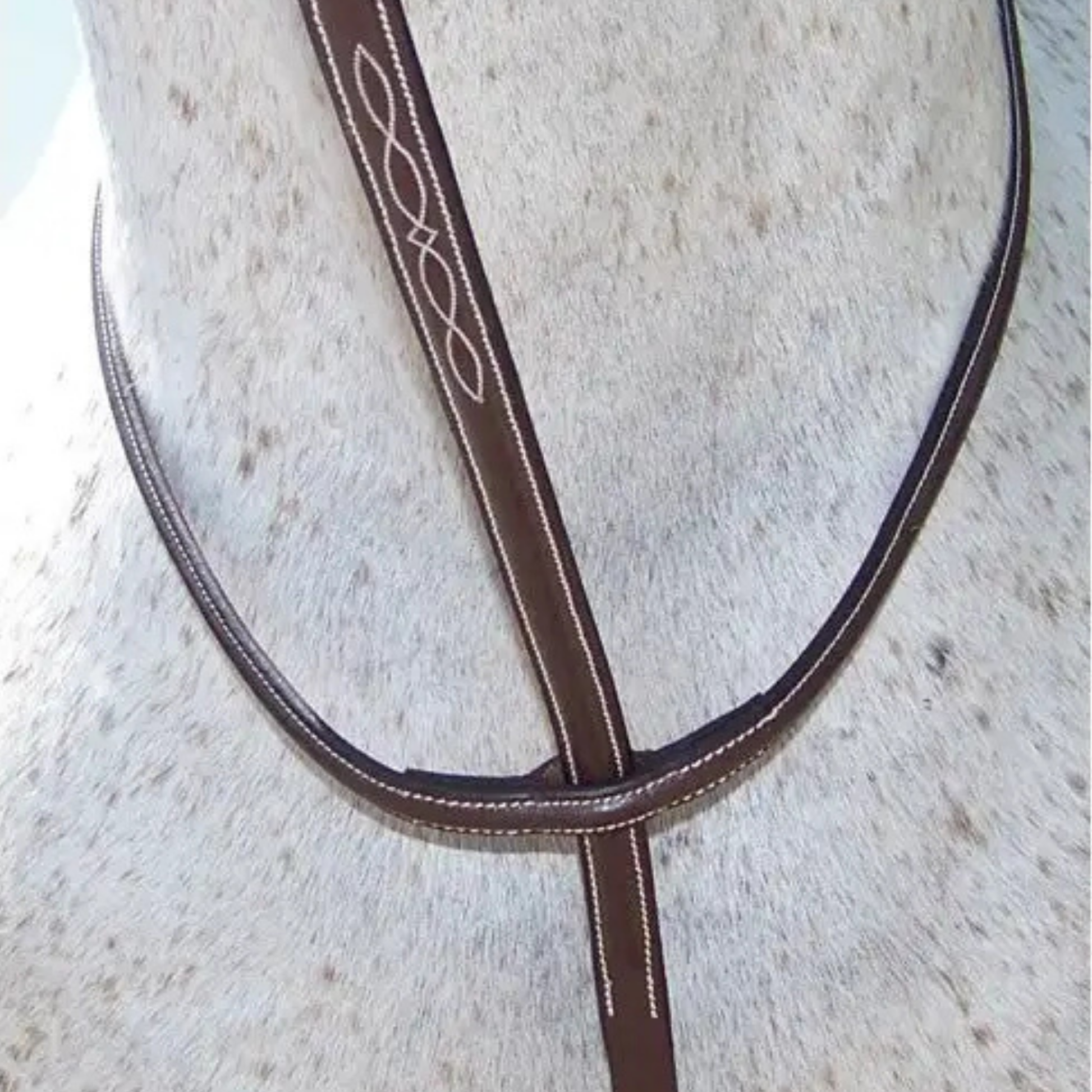 Pro-Trainer Raised Fancy Standing Martingale