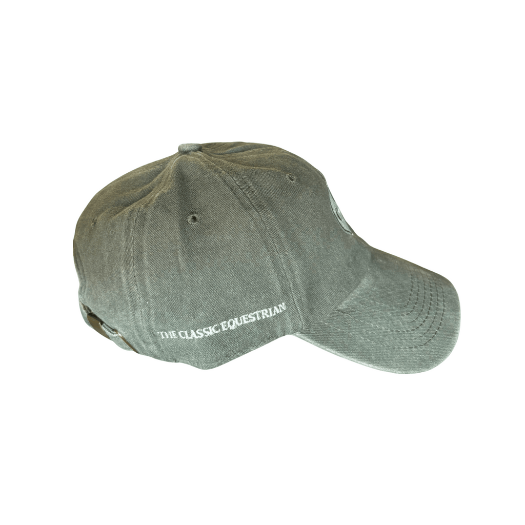 TCE Dad Baseball Hat - Grey