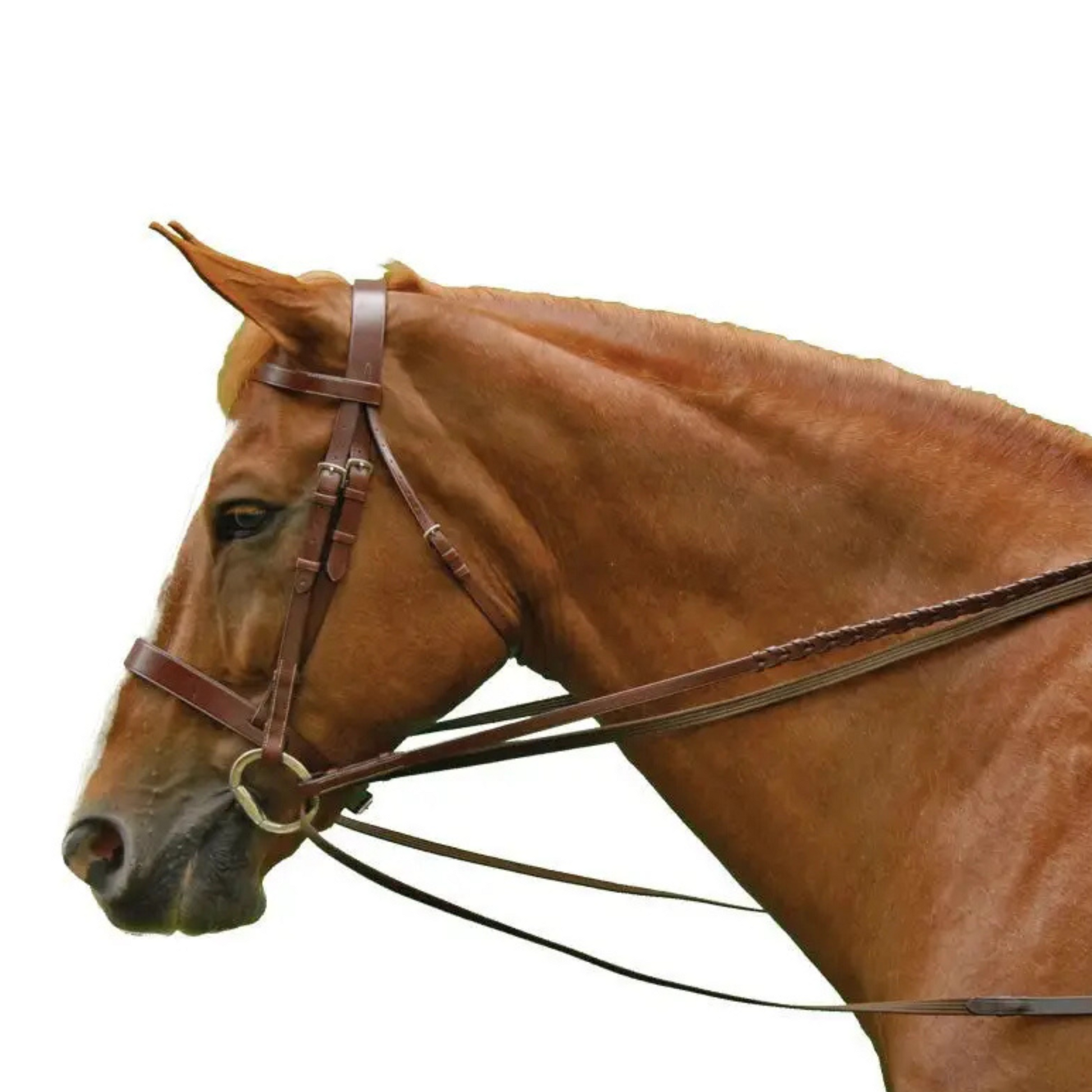 Exselle Elite Web Draw Reins