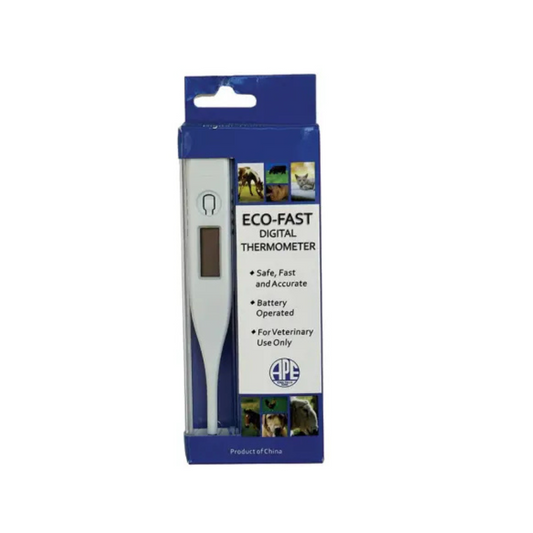 EcoFast Digital Thermometer