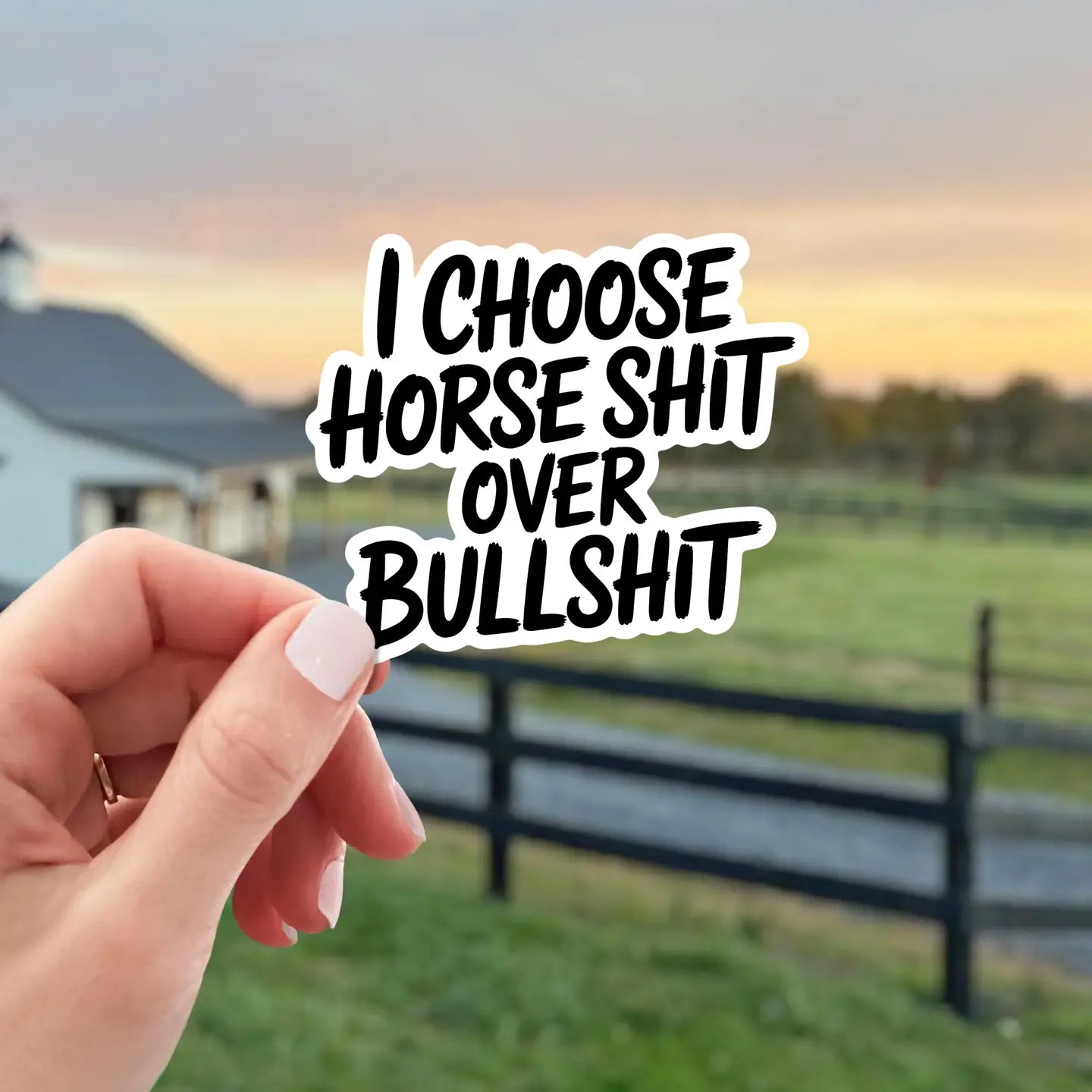 My Fancy Pony Sticker