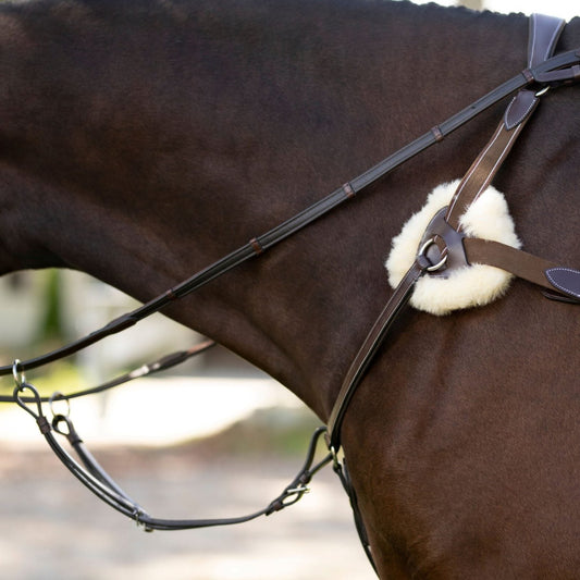 Black Oak 5-Point Breastplate