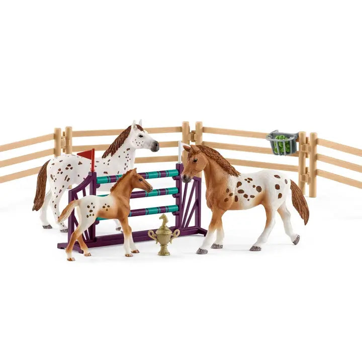 Horse Club Training Playset