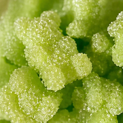 Lucky Duck Horse Treats - Apple Bears