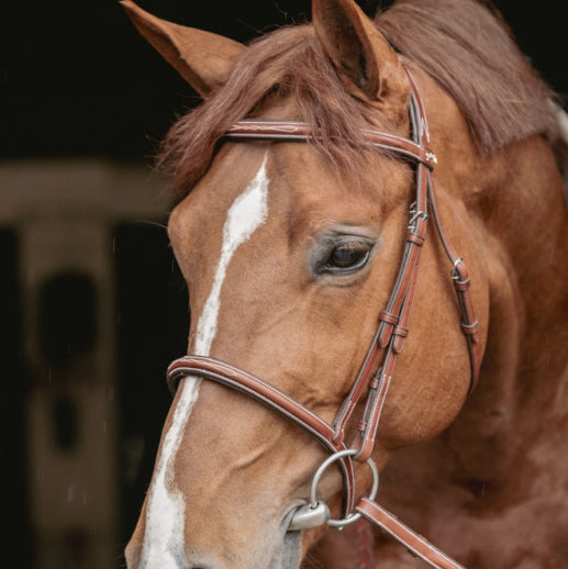 Penelope Hunter Bridle