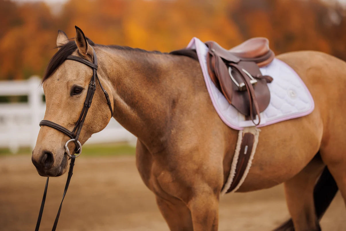 High Point Equestrian Crystal Jump Pad