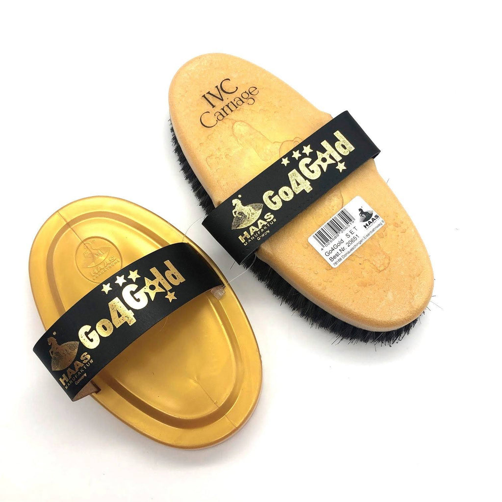 HAAS Go4Gold Brush & Curry Set