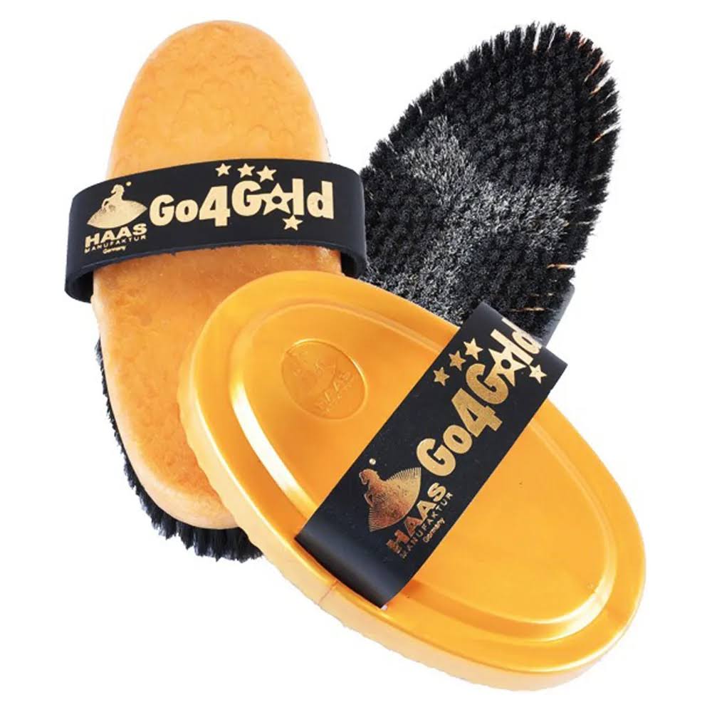 HAAS Go4Gold Brush & Curry Set