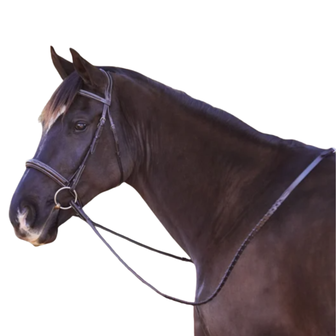 Fancy Stitched Padded Bridle