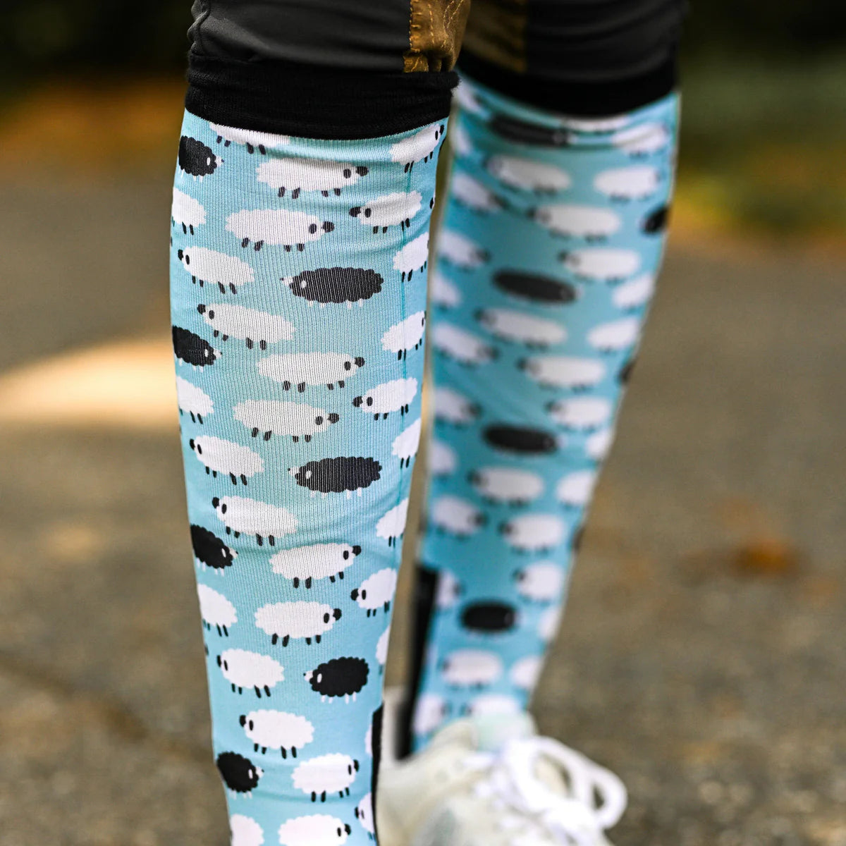 D&S Pair & Spare - Black Sheep