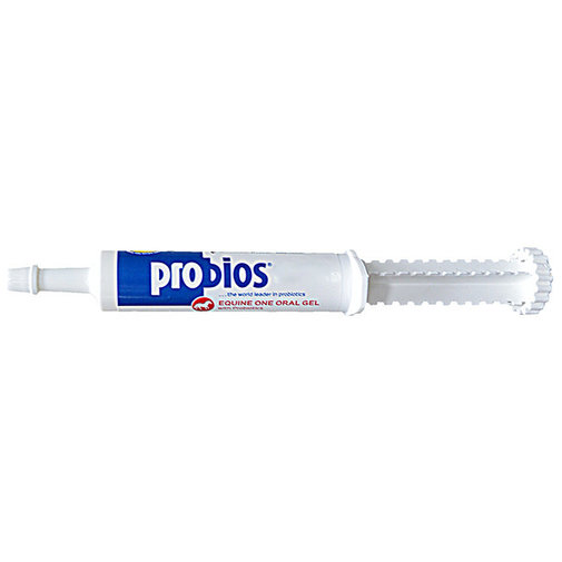 Probios Equine One Oral Gel with Probiotics