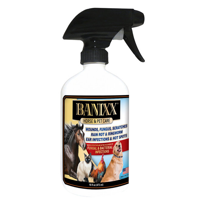 Banixx Horse Care for Bacterial & Fungal Infections