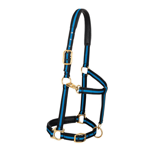 Weaver Padded Nylon Halter - Blue