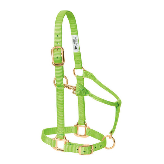 Weaver Adjustable Nylon Halter - Lime