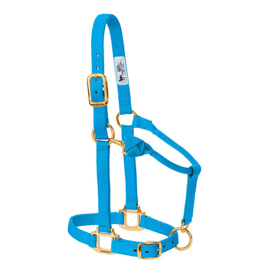 Weaver Adjustable Nylon Halter - Turquoise