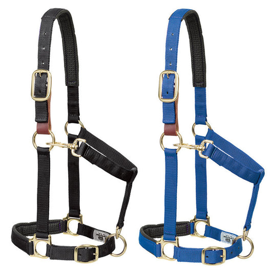 Weaver Nylon Breakaway Padded Halter