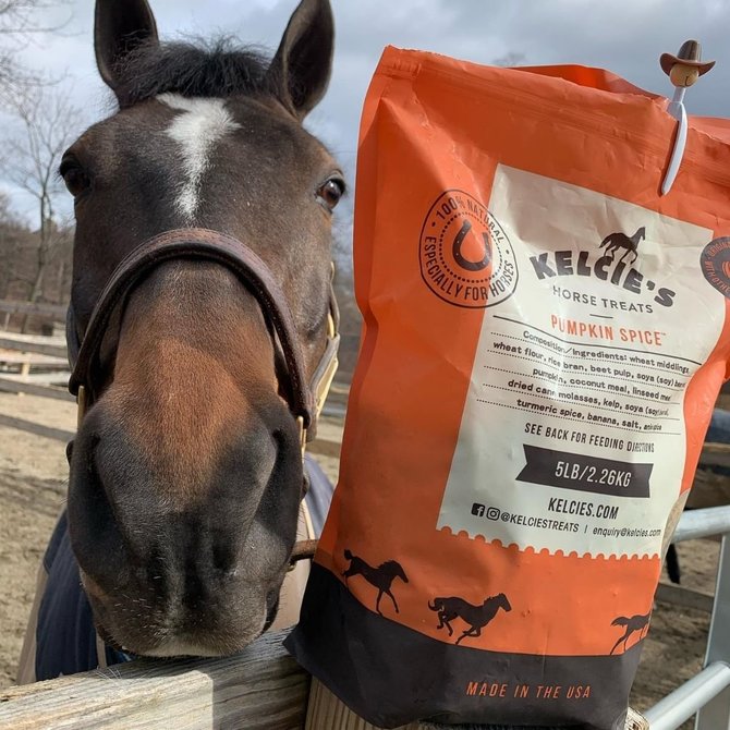Kelcie's Pumpkin Spice Horse Treats