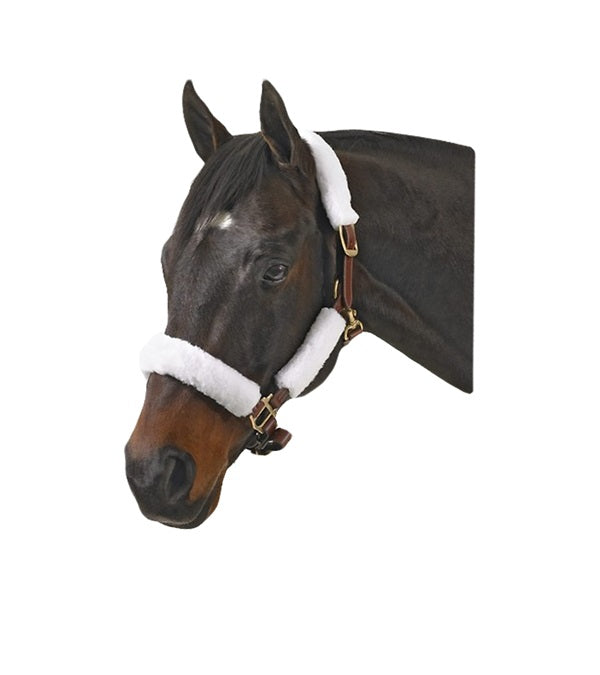 Jacks Fleece Halter Set