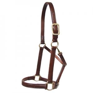 Walsh Heritage Leather Halter