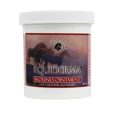 Equiderma Wound Ointment for Horses