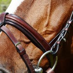 KL Italia "Burghley" Bridle