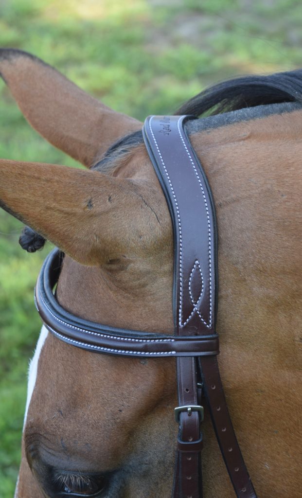 KL Italia "Tuscany" Bridle