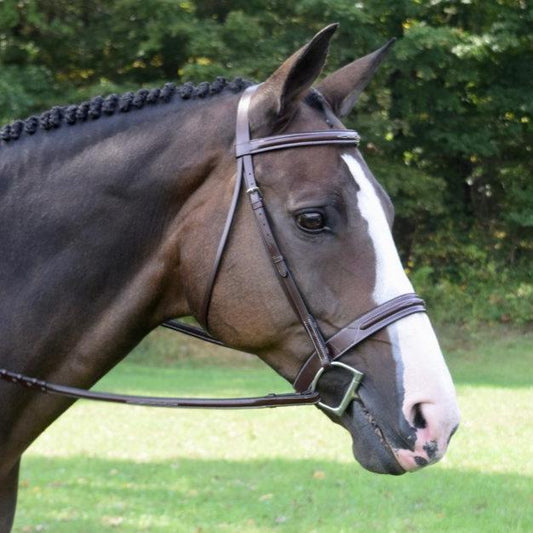 Red Barn "Sonoma" Bridle