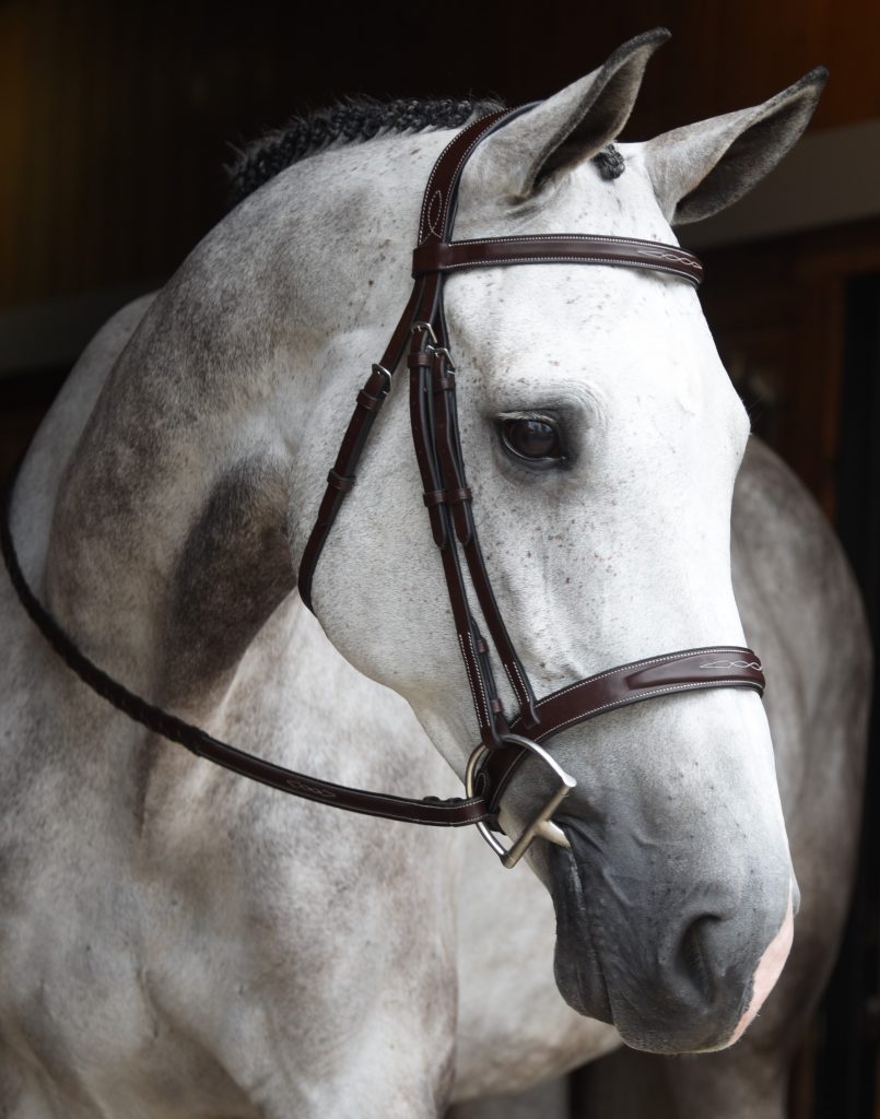 Red Barn "Indio" Bridle