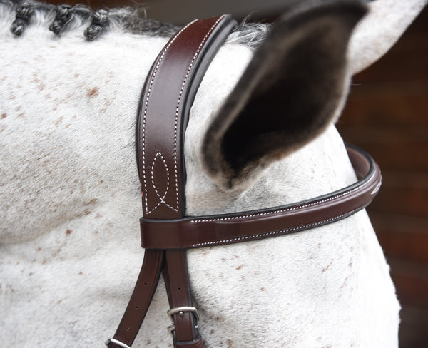 Red Barn "Indio" Bridle