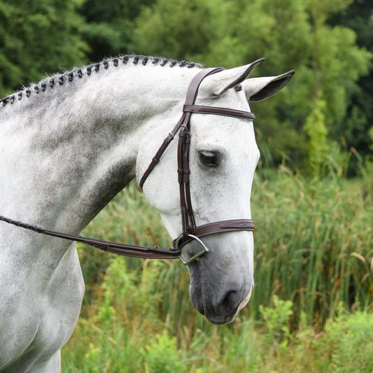 Red Barn "Indio" Bridle