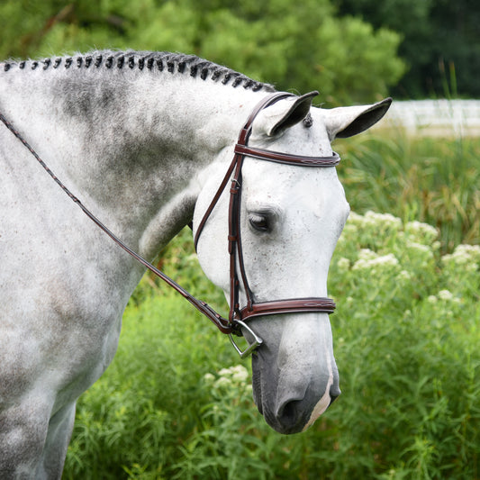 Kl Italia "Middleburg" Bridle