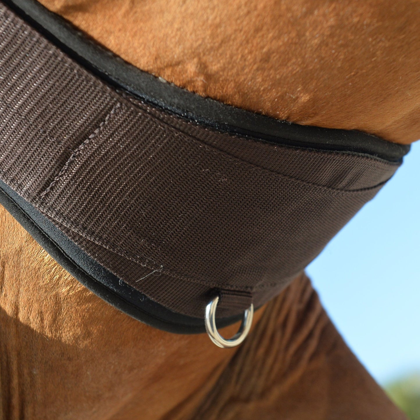 EquiFit Essential Schooling Girth