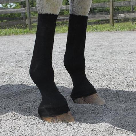 EquiFit Horse Sox